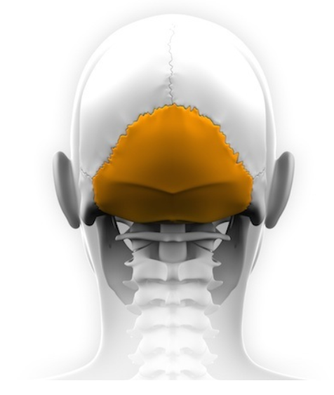 objawy niestabilnosci czaszkowo szyjnej - Kurs - Kręgosłup za biurkiem